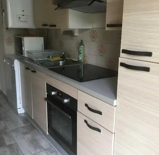 T2 De 50 M2 + Balcon + Parking Pour 4 Personnes Αρασόν